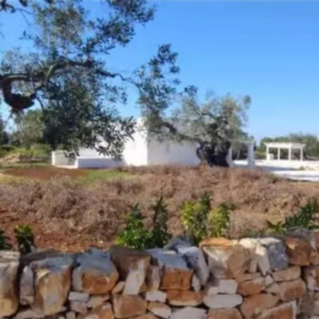 Oasi Nel Bianco Ostuni