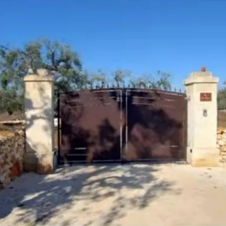 Oasi Nel Bianco