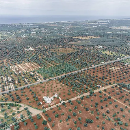 Oasi Nel Bianco فيلة