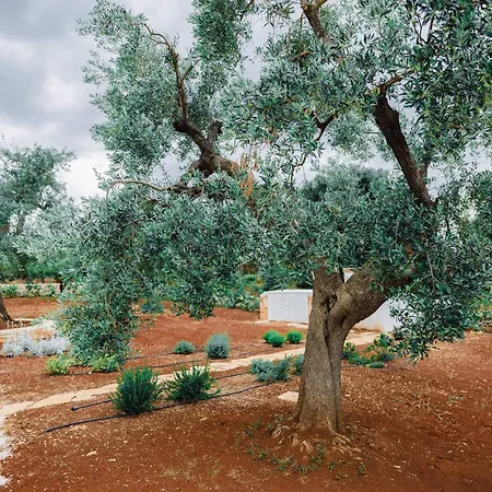 Oasi Nel Bianco فيلة